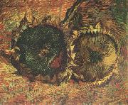 Two Cut Sunflowers (nn04) Vincent Van Gogh